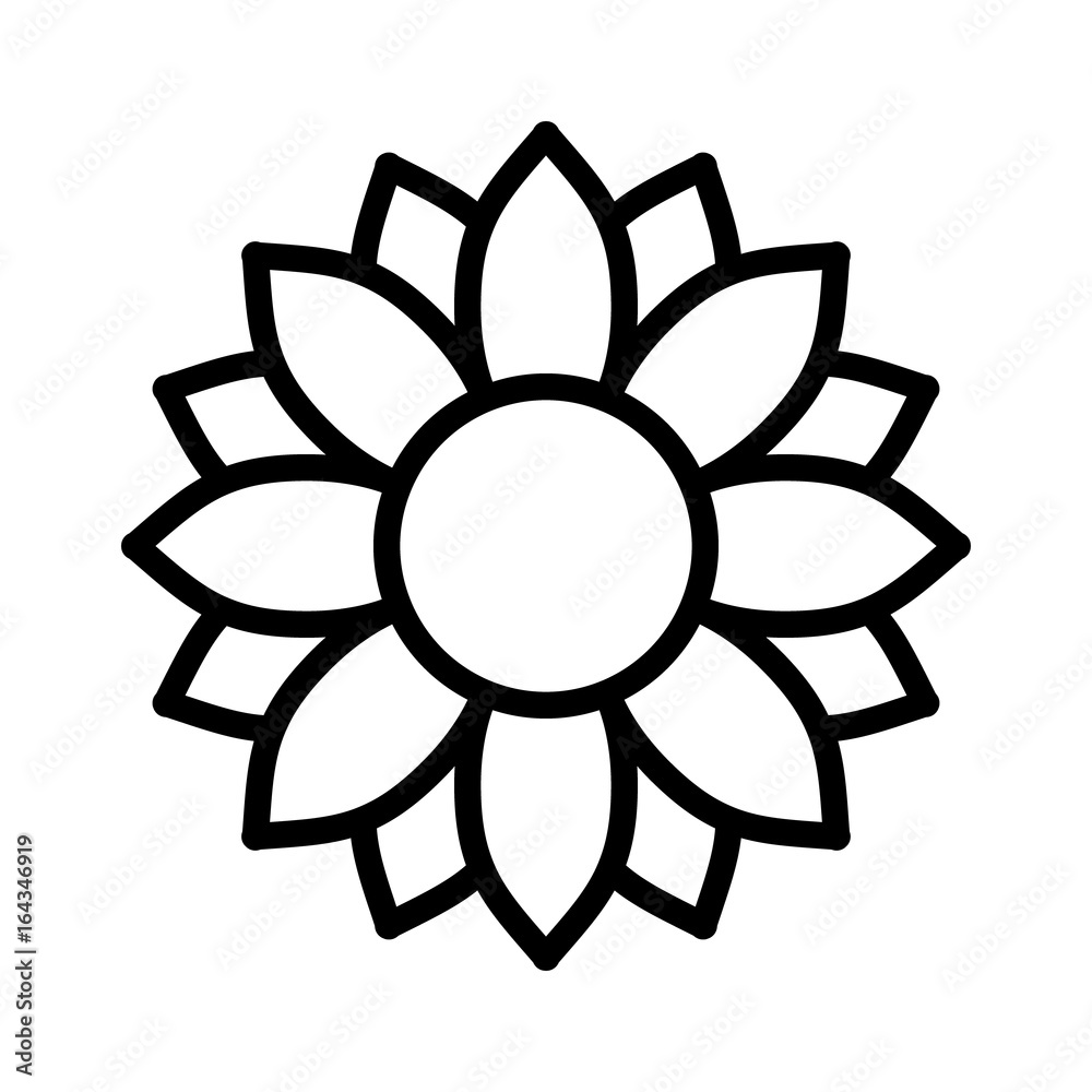 Helianthus or sunflower blossom line art vector icon for flower apps and  websites Stock Vector | Adobe Stock
