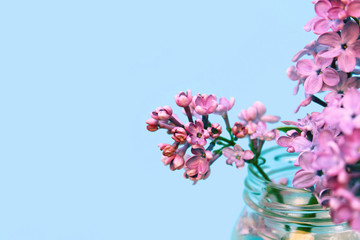 Papier peint photo Lilas Lilas violet aux grappes parfumées  © oliay