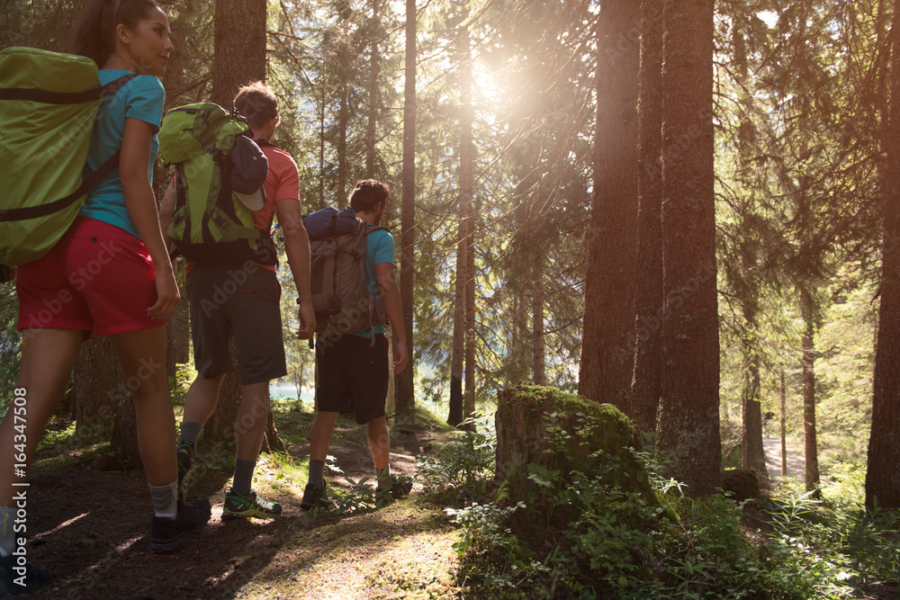 Fotka „Three man and woman walking along hiking trail path in forest woods  during sunny day. Group of friends people summer adventure journey in  mountain nature outdoors. Travel exploring Alps, Dolomites“ ze