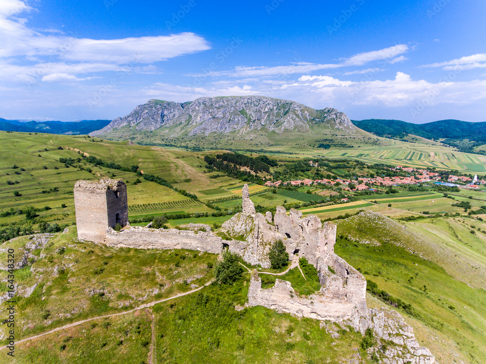 Coltesti medieval fortress near Coltesti village, in Apuseni Trascau Mountains, Transylvania, Romania