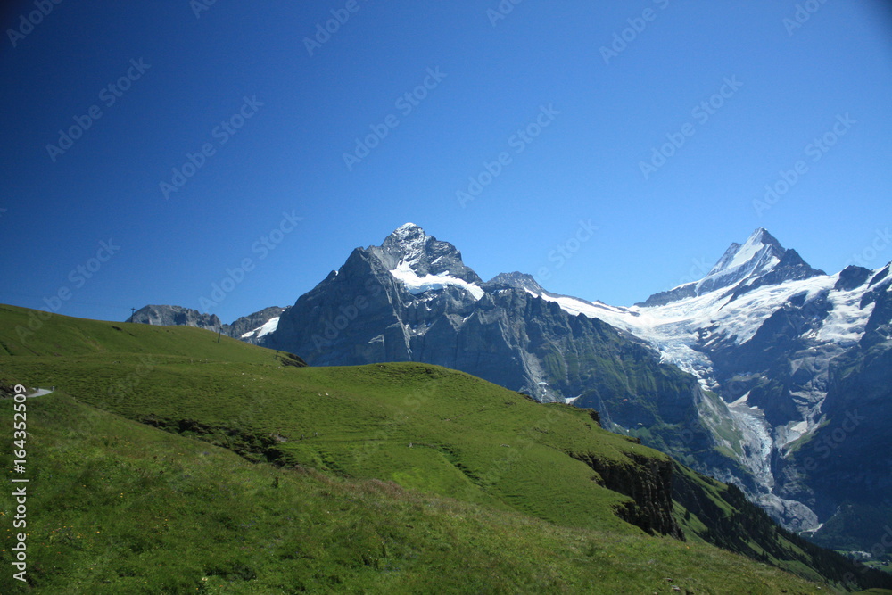 Fototapeta premium The great outdoors