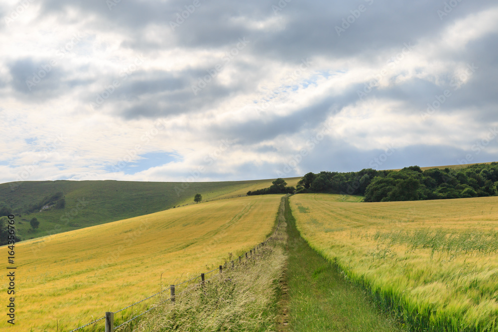 Pathway Through Farmland Pathway Through Farmland
