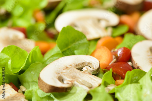 Grüner Blattsalat mit Champignon Pilze, Karotten und Paprika photo