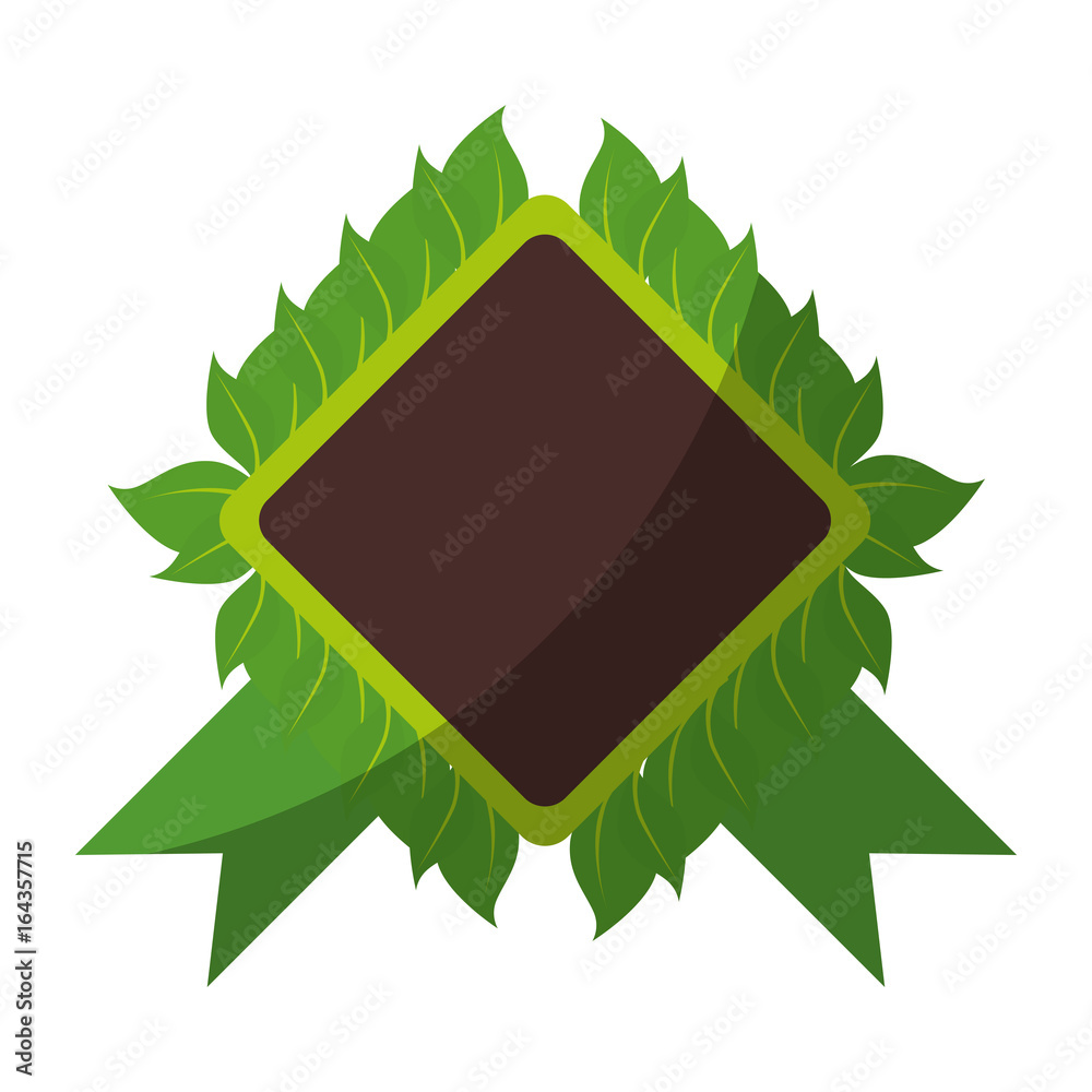 rhombus frame with decorative leaves around over white background colorful design vector illustration rhombus frame with decorative leaves around over white background colorful design vector illustration