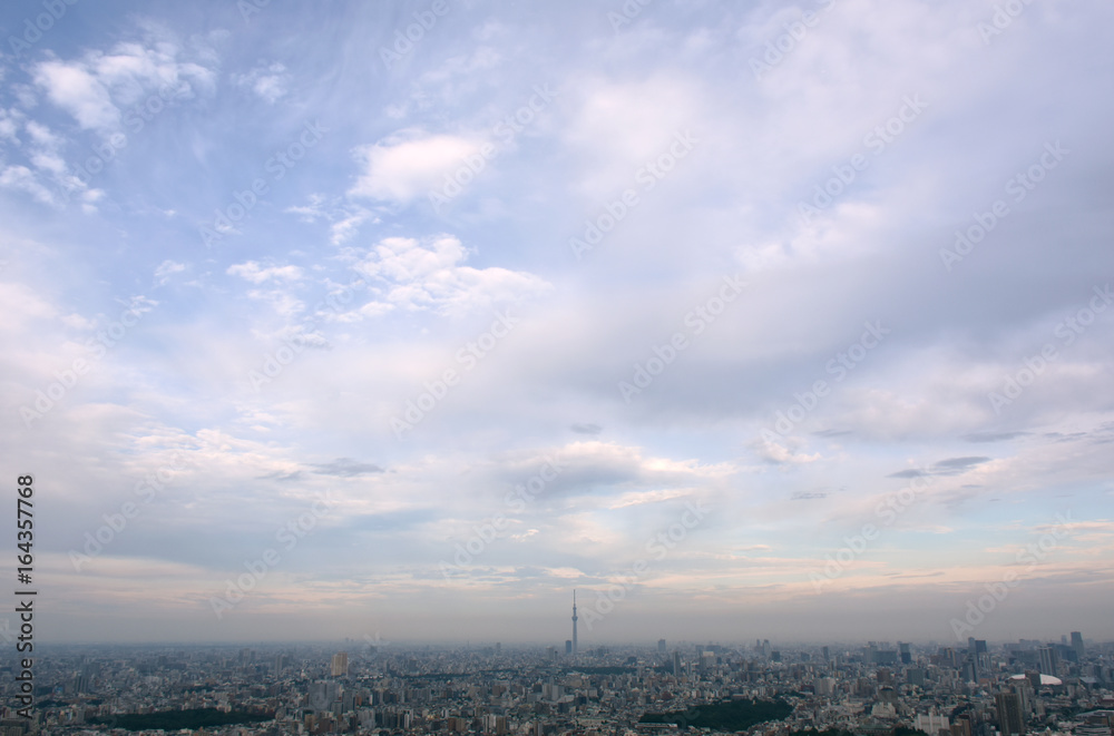日本の東京都市風景・青空と雲「文京区や墨田区を望む」