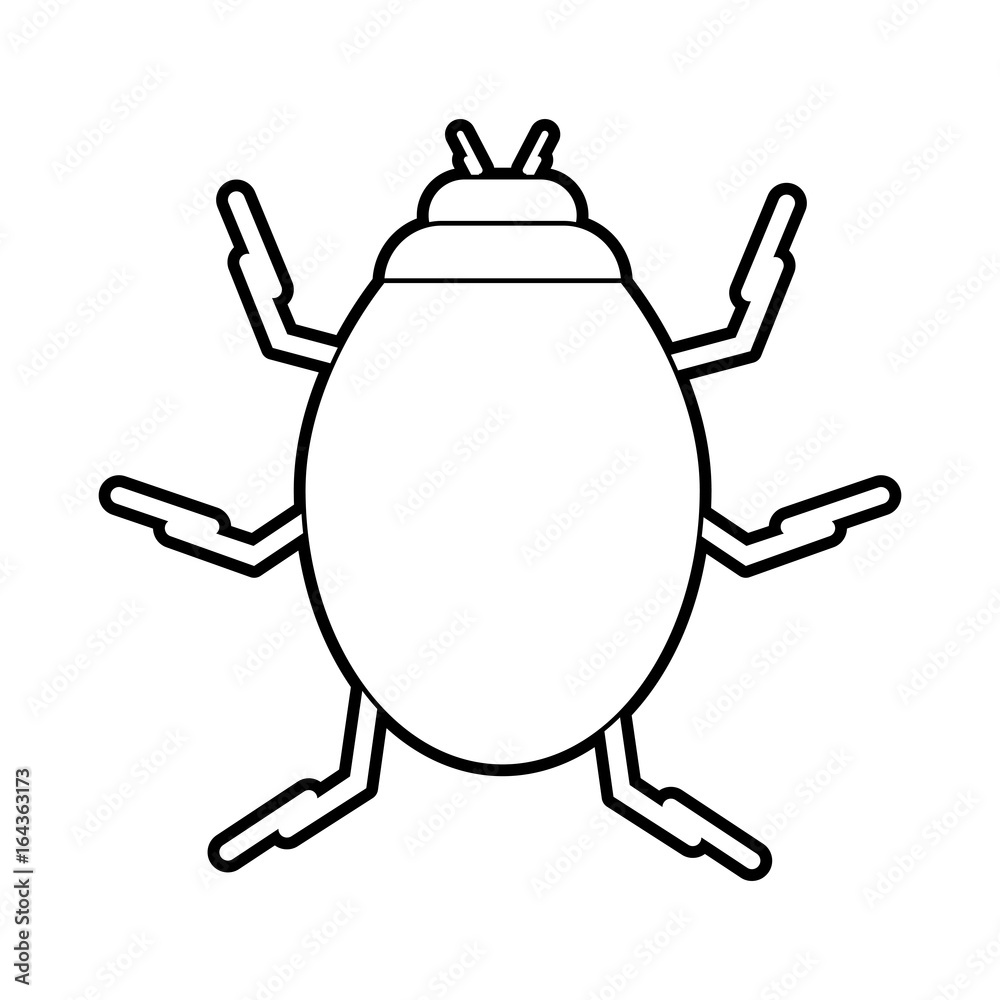 bug vector illustration bug vector illustration