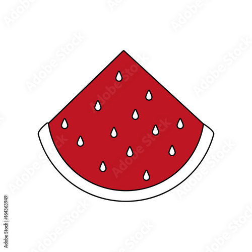 watermelon vector illustration