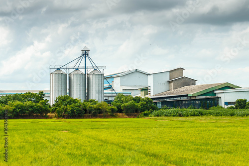 Agricultural Silos - Building Exterior, Storage and drying of grains, against the blue sky with rice fields.
