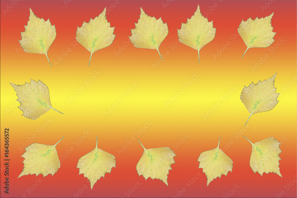 Frame of yellow leaves. Copy paste