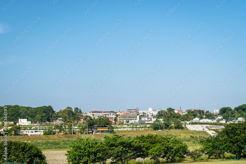 Obraz premium 二子玉川 多摩川河川敷の風景３
