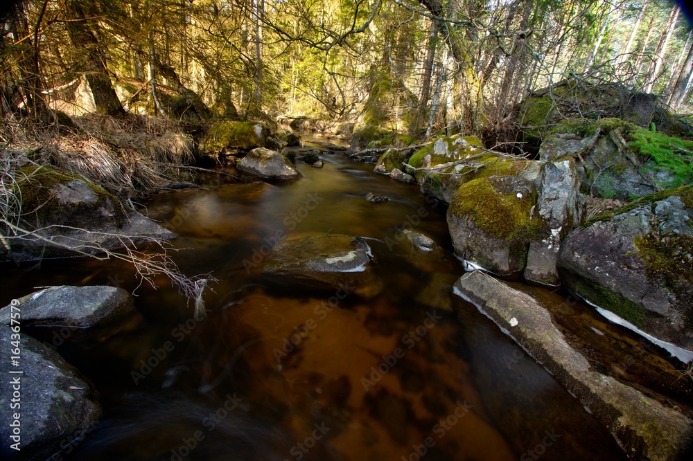 A stream just outside Havsjöleden natural reserve in Bredaryd – Sweden