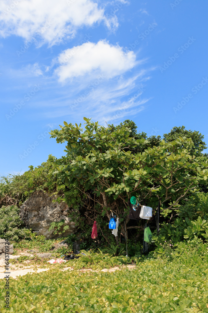 Blue sky , a rock and tree with beach goods in Hateruma island, Okinawa(波照間島) Blue sky , a rock and tree with beach goods in Hateruma island, Okinawa(波照間島)