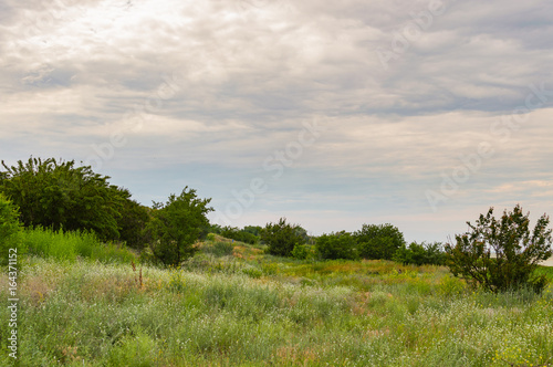 Sea landscape. Terrain on the coast of the Azov Sea in the Rostov region