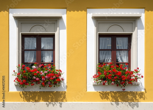 Beautiful red flowers in closed windows © cherezoff