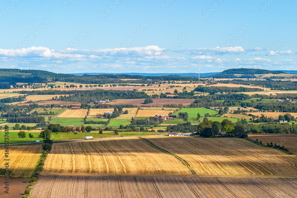 View of rural landscape in summer