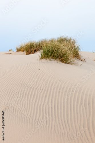 Sand dune with tuft of grass