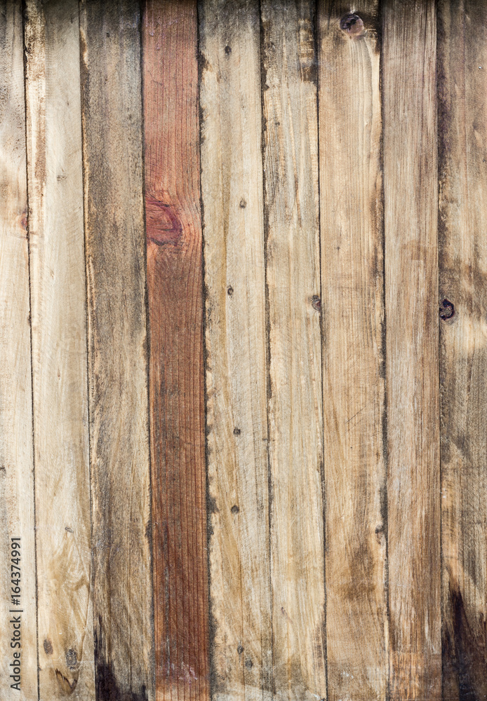 Fototapeta premium Wood texture.