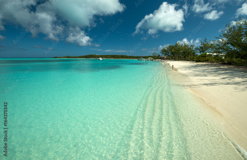 Obraz premium Woman is relaxing on the beach