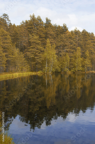 Landscape lake and forest