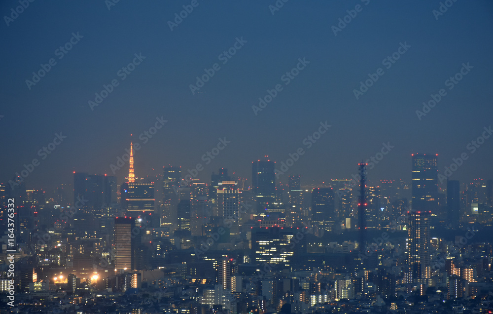 日本の東京都市景観・夜景(港区方面などを望む）