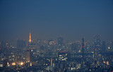 日本の東京都市景観・夜景(港区方面などを望む）