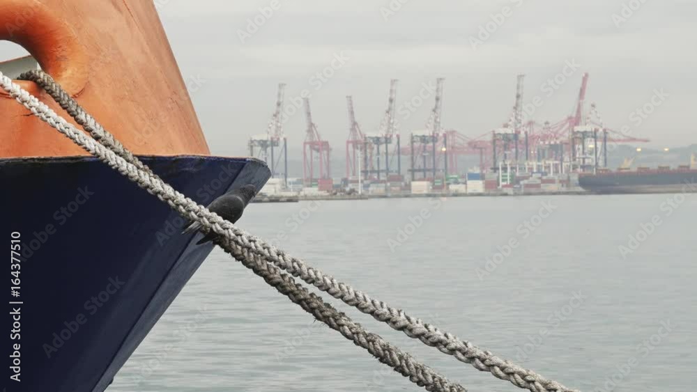 Durban, South Africa, harbour and port (Pier 1 and Pier 2) & Pigeon on ship line 4K Stock Video