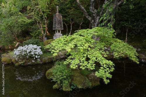 Japanese Garden