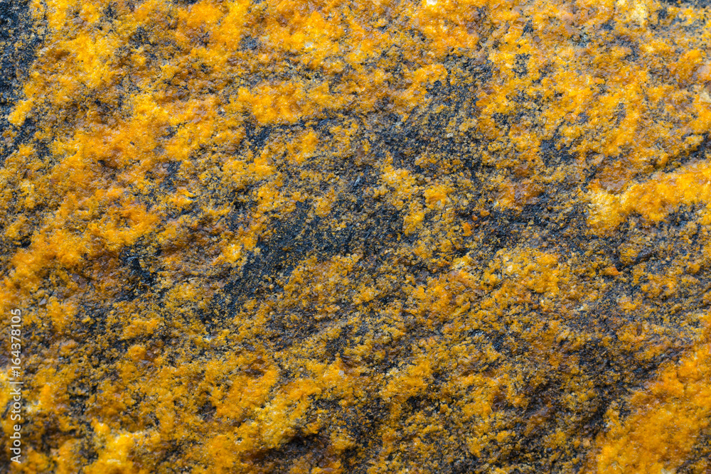 Heterogeneous texture of natural stone orange. Heterogeneous texture of natural stone orange.