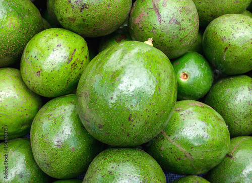 green ripe avocado fruit group background