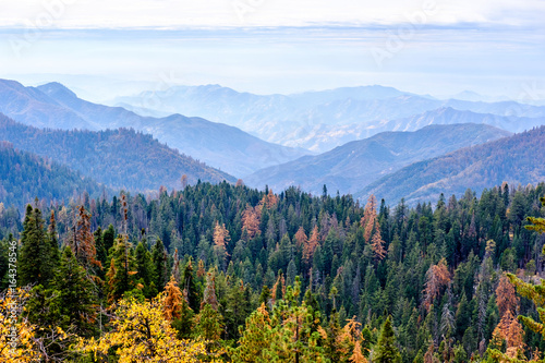 Sequoia National Park mountain landscape at autumn photo