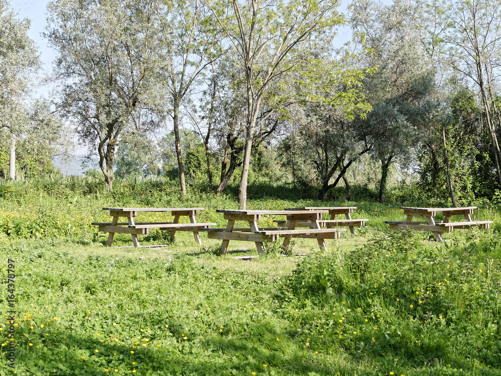 Fototapeta premium bozzi saudini
