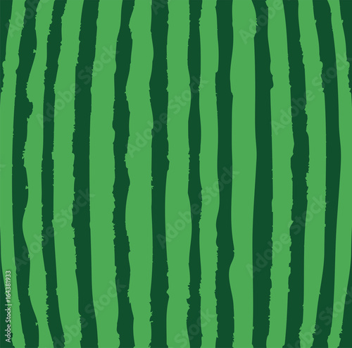 Vector Watermelon Background