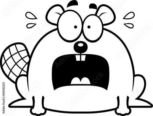 Terrified Little Beaver