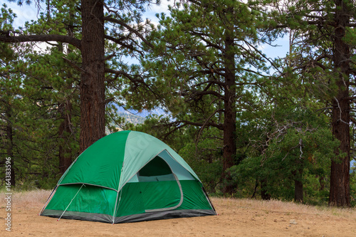 Camp SIte with Green Tent in a Pine Forest