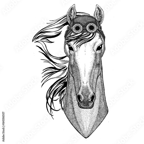 Horse, hoss, knight, steed, courser wearing aviator hat Motorcycle hat with glasses for biker Illustration for motorcycle or aviator t-shirt with wild animal
