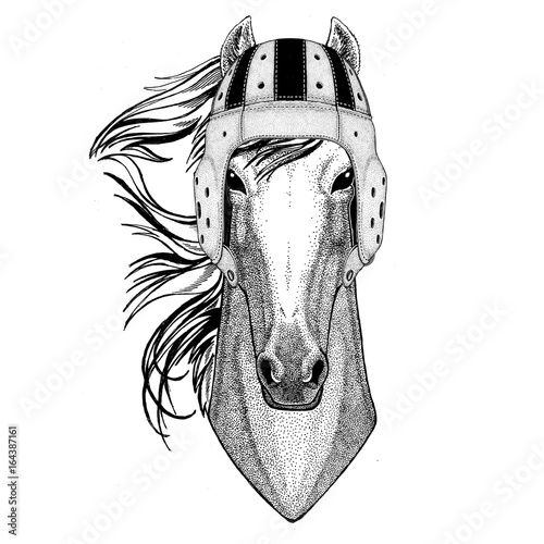 Horse, hoss, knight, steed, courser Wild animal wearing rugby helmet Sport illustration