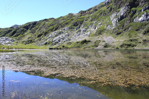 mountains reflected in the lake full of leaves in a sunny day, Spain