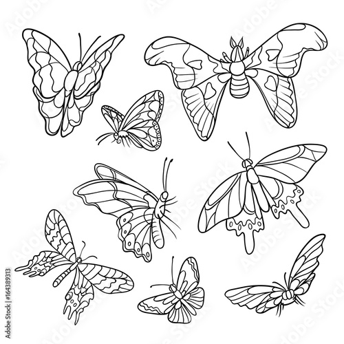 Vector black and white doodle set of hand-drawn. Different tropical butterflies flying and sitting. Outline drawing sketch kit drawn in ink isolated on white background.