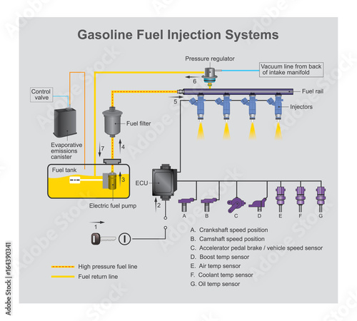 Gasoline fuel injection systems.