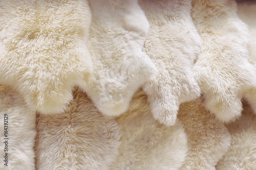 Photography Row of sheepskin carpet