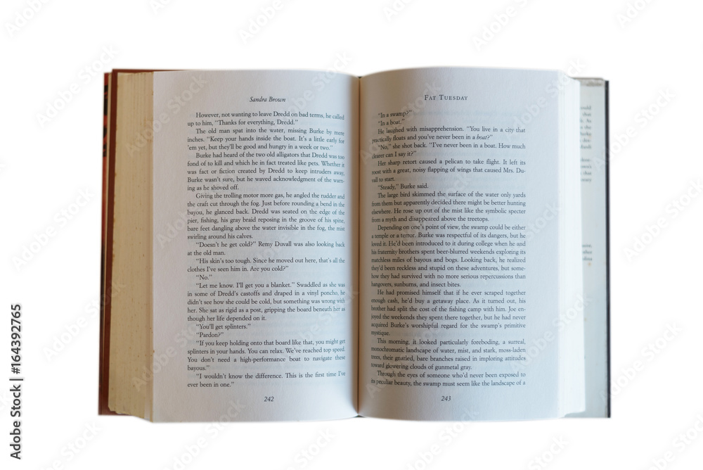 Obraz premium Opened book