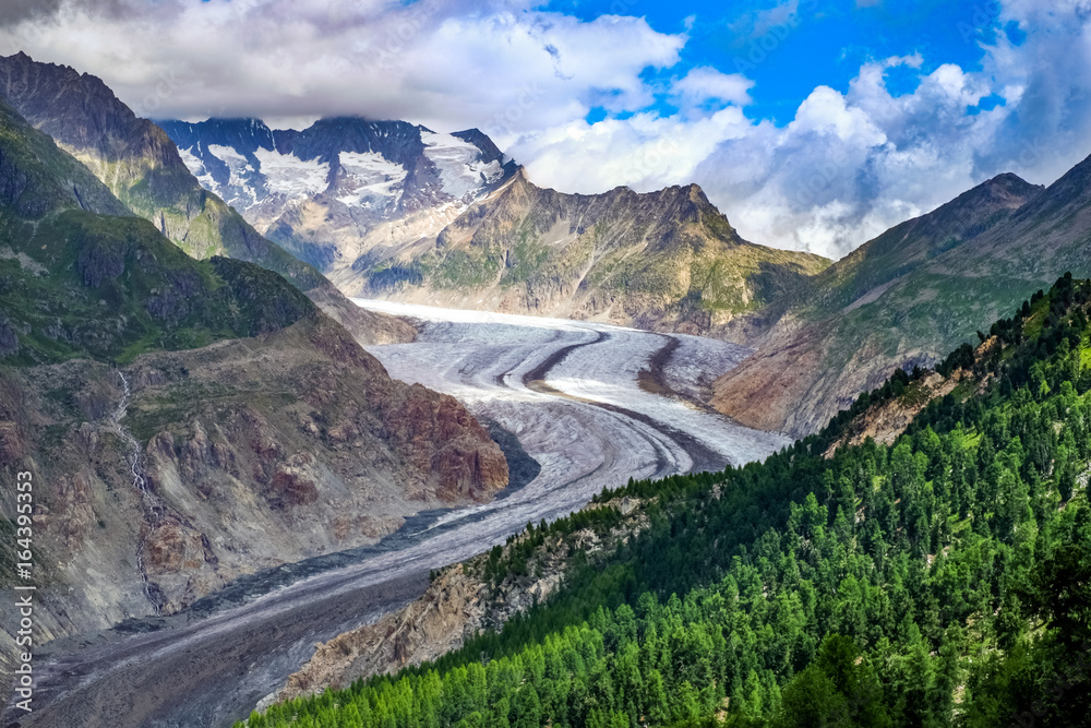The great Aletsch glacier The great Aletsch glacier
