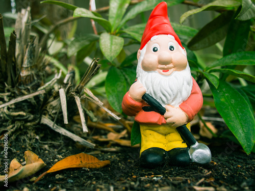 Garden Gnome
