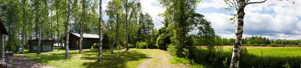 Panorama - summer, forest, Sunny day, houses