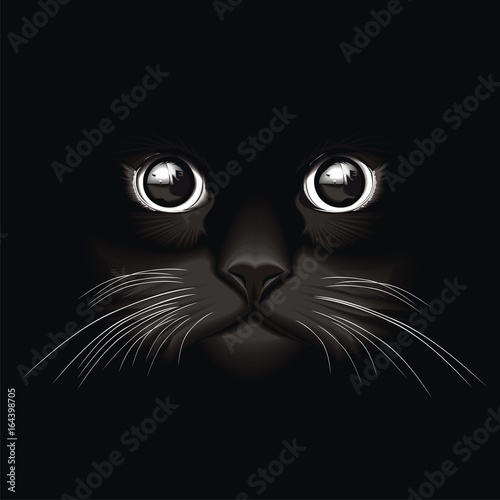 Fototapeta Naklejka Na Ścianę i Meble -  eyes cat