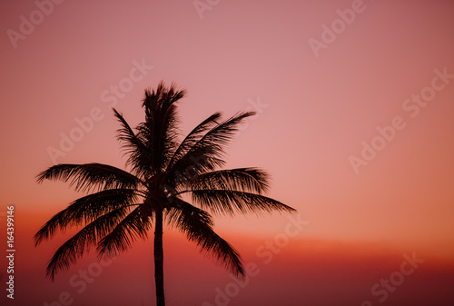 Fototapeta Naklejka Na Ścianę i Meble -  Tropical sunset