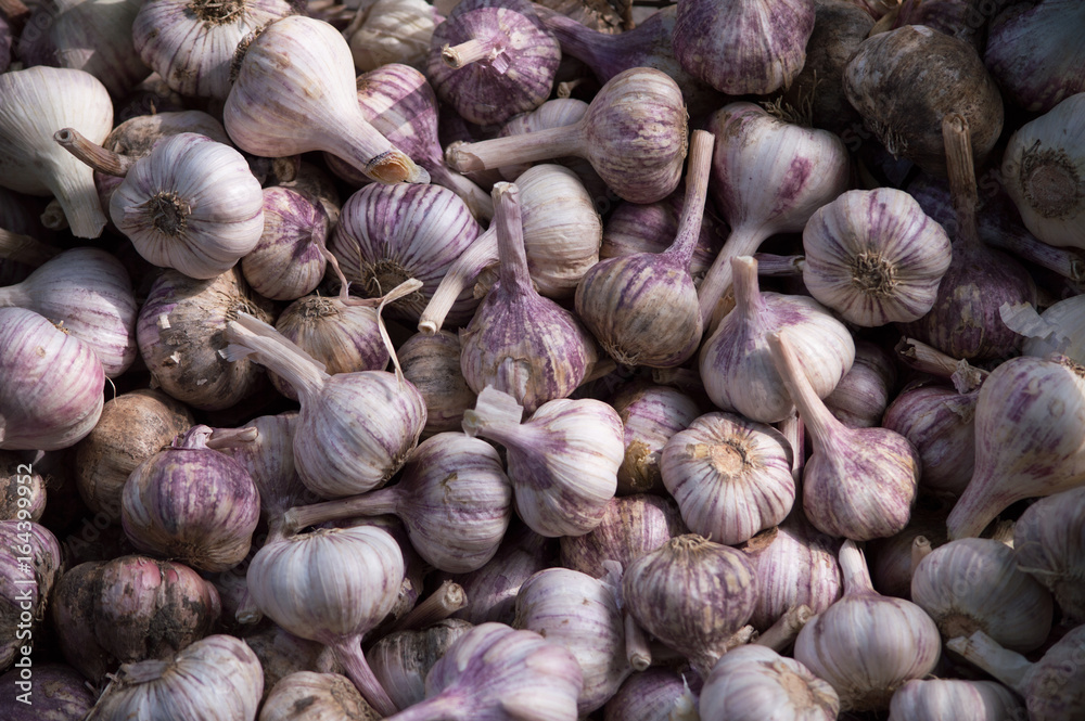 Homemade purple garlic