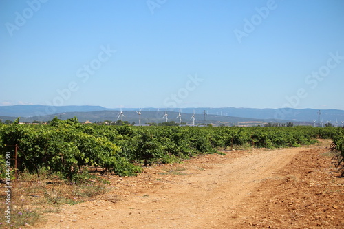 parc d'éoliennes dans le sud de la france