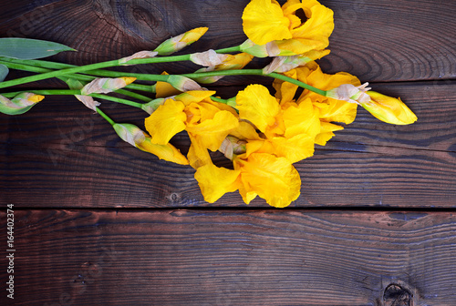 Fototapeta Naklejka Na Ścianę i Meble -  bouquet of yellow flowering irises