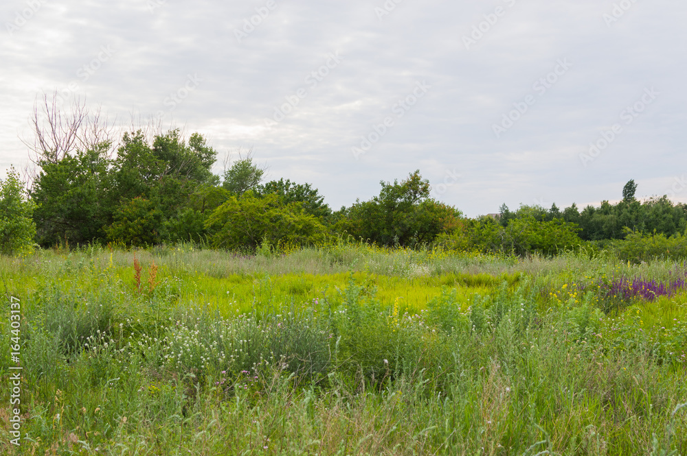 Fototapeta premium Sea landscape. Terrain on the coast of the Azov Sea in the Rostov region